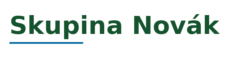 Skupina Novák logo